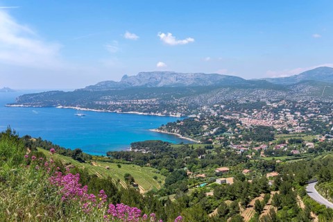 Coast and bay, cliffs, Falaises, Route de Crétes, Cassis, Provence-Alpes-Côte d'Azur, France