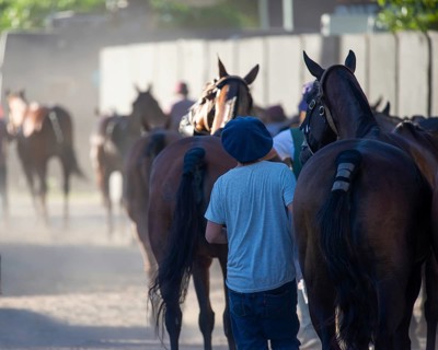 Scene at the 132nd Argentine Open Polo Championship (Spanish 132nd Abierto Argentino de Polo de
