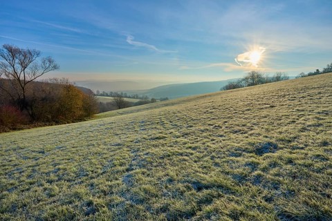 Frost covers a hill in sunrise light on a clear morning, Seckmauern, Lützelbach, Maintal, Odenwald,