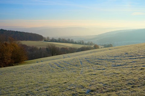Morning fog hovers over a green, hilly landscape under clear skies, Seckmauern, Lützelbach,