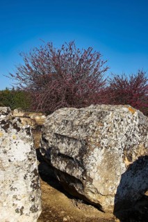 Big rock in a natural setting. Shrubs and sky, Nemea, Ancient Zeus Heightum, Archeological Site,