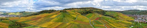 Panoramic view of hilly vineyards under cloudy sky, with autumn colors, near Strümpfelbach im