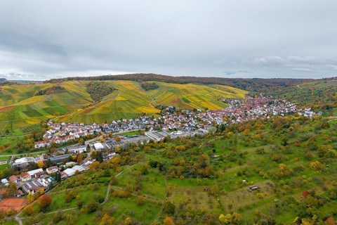 Colourful vineyards and a village in a vast, green autumn landscape, Strümpfelbach im Remstal,