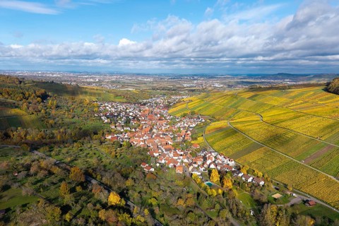 Wine village in colorful vineyards under a cloudy but clear autumn sky, Strümpfelbach im Remstal,