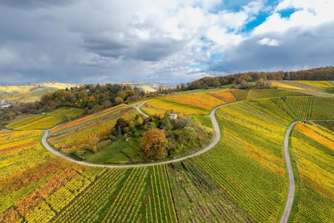 Vineyard landscape in autumn with colorful fields and winding roads under cloudy sky,