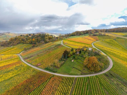 Colourful vineyards stretch over hills under dramatic cloudy skies, autumn, Schützenhüttle-Donkey,