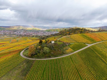 View over hills with colorful vineyards and a dramatic sky full of clouds, autumn,