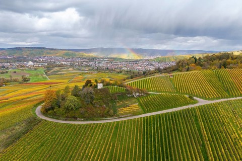 Autumn vineyards with a rainbow over the hills and trails in between, autumn,
