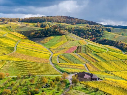 Hilly vineyards with a winepress, autumn colors contrasting with a cloudy sky, near Strümpfelbach