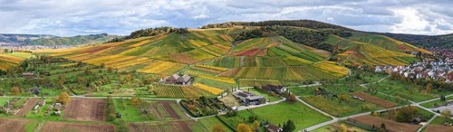 Landscape panorama of hilly vineyards with a village and cloudy sky, autumn, Strümpfelbach im