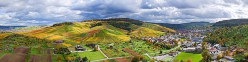 Extensive landscape of vineyards and village against a cloudy sky, autumn, Strümpfelbach im