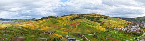 Extensive panoramic landscape of vineyards next to a small village under clouds, autumn,