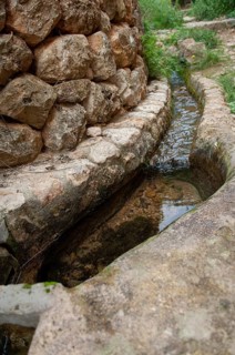 Small trickle on a laying stone wall, Majorca, Spain