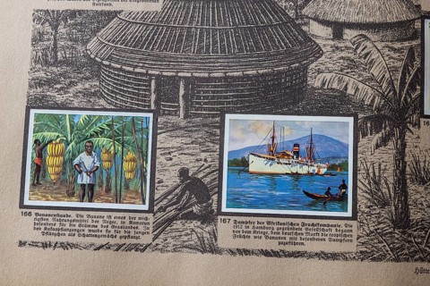 German colonies. Cameroon German Southwest Africa. Banana harvest and steamer from the African