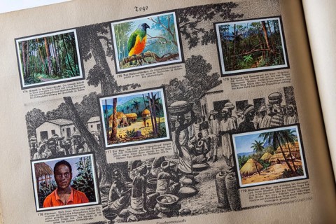 German colonies. Togo. Caption: Eweneger. These Negroes form an important ethnic group in the south