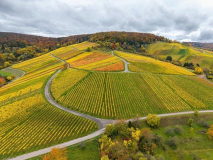 Colourful vineyards in autumn landscape with winding paths under clouds, near Stetten im Remstal,