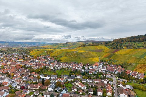 A village surrounded by extensive vineyards in autumn colors under a cloudy sky, Stetten im