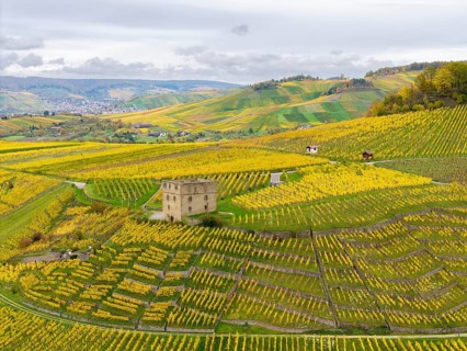 A tower surrounded by extensive yellow-green vineyards under cloudy sky, Y-Burg, Stetten im