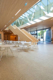 Spacious, modern atrium with wooden paneling and glass roof, furnished with white minimalist