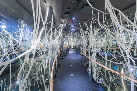 Futuristic space with glass walls and white abstract branches that create a modern, technical
