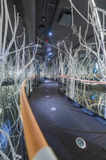 Futuristic space with glass walls and white abstract branches that create a modern, technical