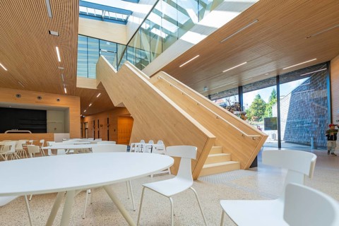 Modern building with large wooden staircase and lots of daylight, Ruhestein National Park Center,
