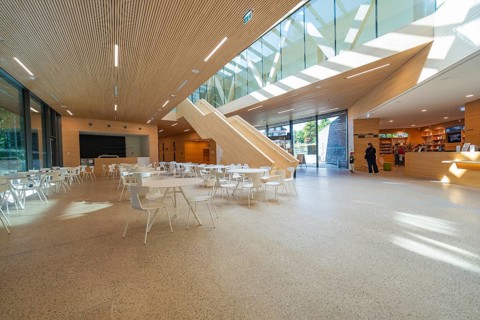 Bright interior with wood and glass elements, modern design with cafeteria, Ruhestein National Park
