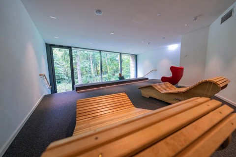 Modern room with wooden loungers and a wide view of a green forest through large glass windows,