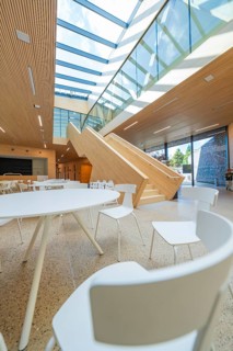 Bright room with glass walls and wooden staircase, modern interior design, Ruhestein National Park