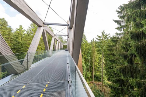 Architecturally impressive metal and wood bridge with glass railing against a wooded background,