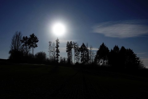 The sun shines from above through a wooded area in Hesse. The gaps between the silhouettes of the