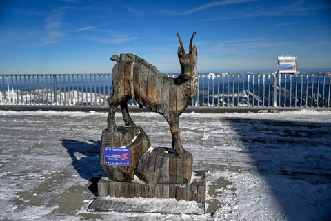 Wooden chamois at the mountain station of the Zugspitz cable car, Austrian side, municipality of