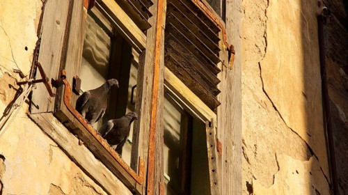 Old town of Nauplion, Two doves sitting on a rustic window sill of an old building in sunlight,