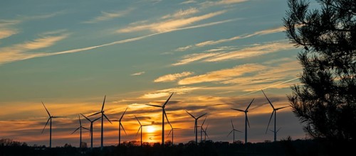 Sunset, wind turbines, sunset, tree, silhouettes, Südergellersen, Samtgemeinde Gellersen, Lower