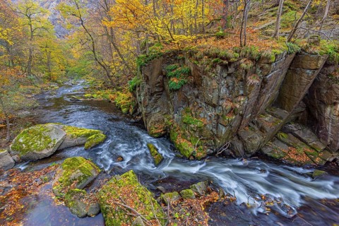 River Bode running through forest showing autumn colours, fall colors at Nature reserve Bode Valley