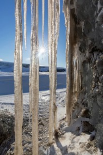 Sun shining through icicles at Mohnbukta, bay at western shore of Storfjorden in Sabine Land,