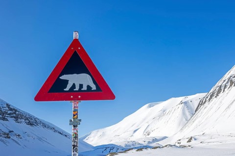 Polar bear warning sign against blue sky, Spitsbergen, Svalbard, Norway