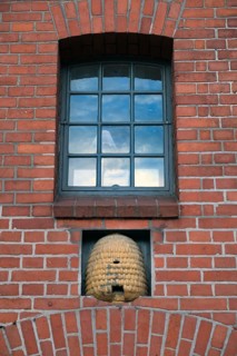 Beehive under an industrial window, Hanseatic City of Lübeck, Schleswig-Holstein, Germany