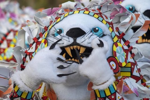 Carnival, Lanzarote, Canary Islands, Spain