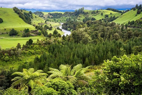New Zealand landscape. View of the Whanganui River valley from Piriaka Lookout. Piriaka, Ruapehu