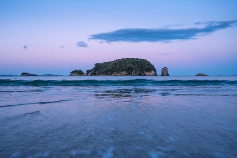 Landscape with sea, rocks and sandy beach in New Zealand. Hahei Beach in the evening after sunset