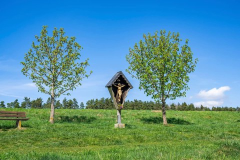 Wooden crucifix between two trees on a meadow in spring, Upper Palatinate, Bavaria, Germany