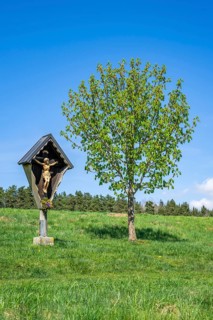Wooden crucifix between two trees on a meadow in spring, Upper Palatinate, Bavaria, Germany