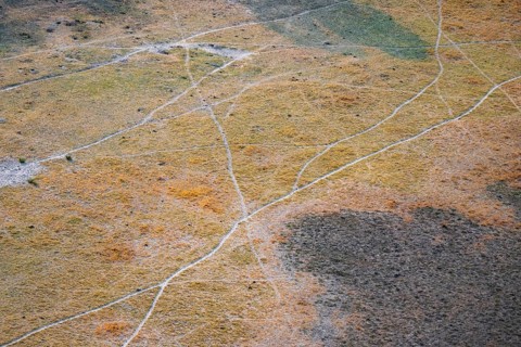 Paths, trails in the countryside, animal trails Aerial view of the Okavango Delta, near Maun,
