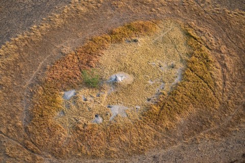 Termite hills in marshland, landscape, aerial view of the Okavango Delta, near Maun, Okavango