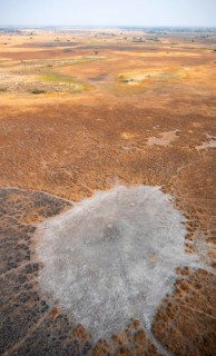 Dry season, structure and pattern of trails, landscape, aerial view of the Okavango Delta, near