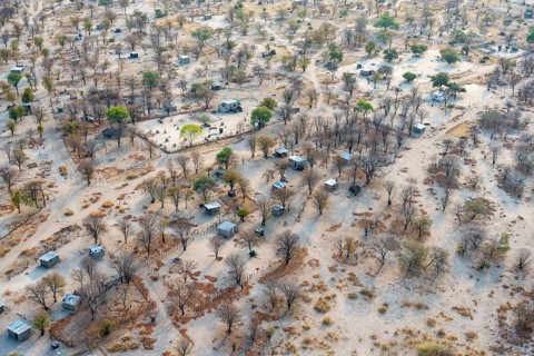 Settlement, simple house and fence, dry savanna landscape, near Maun, aerial view, Okavango Delta,