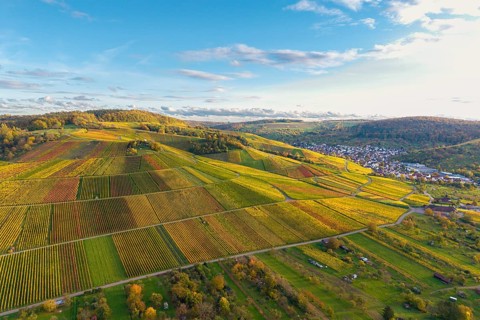 Green and golden fields on rolling hills in sunlight, autumn, near Strümpfelbach im Remstal,