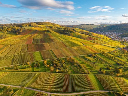 Colourful vineyards and fields stretch across the hills, autumn, near Strümpfelbach im Remstal,