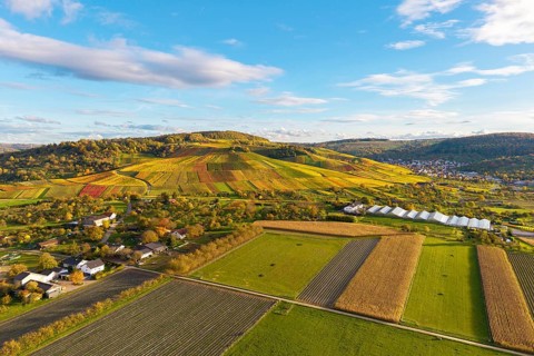 Multicolor landscape with vineyards and fields under blue sky, autumn, near Strümpfelbach im